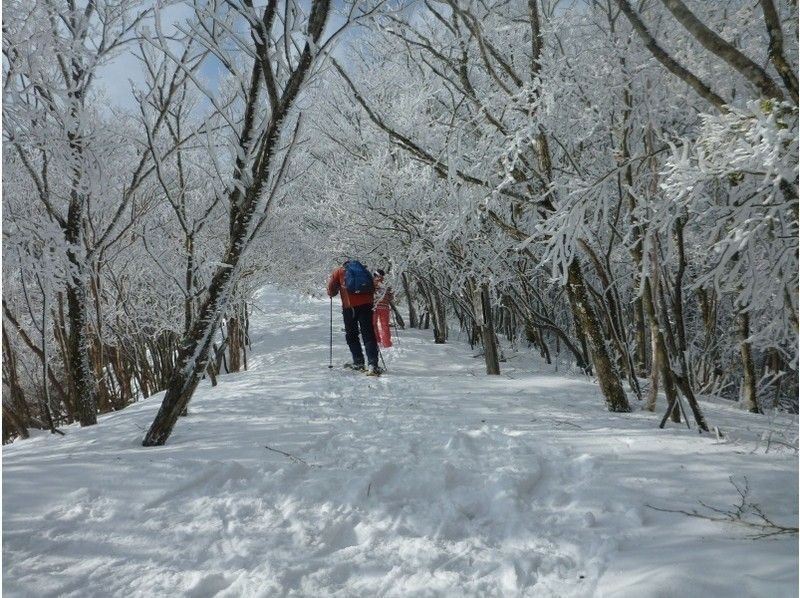 Snowshoe hiking conducted by Eddy, a Wakayama Prefecture company