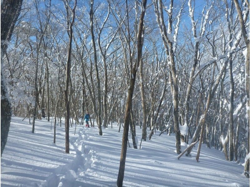 [Wakayama / Gomadanyama] First time people are safe! Snowshed-hiking in Wakayamaの紹介画像
