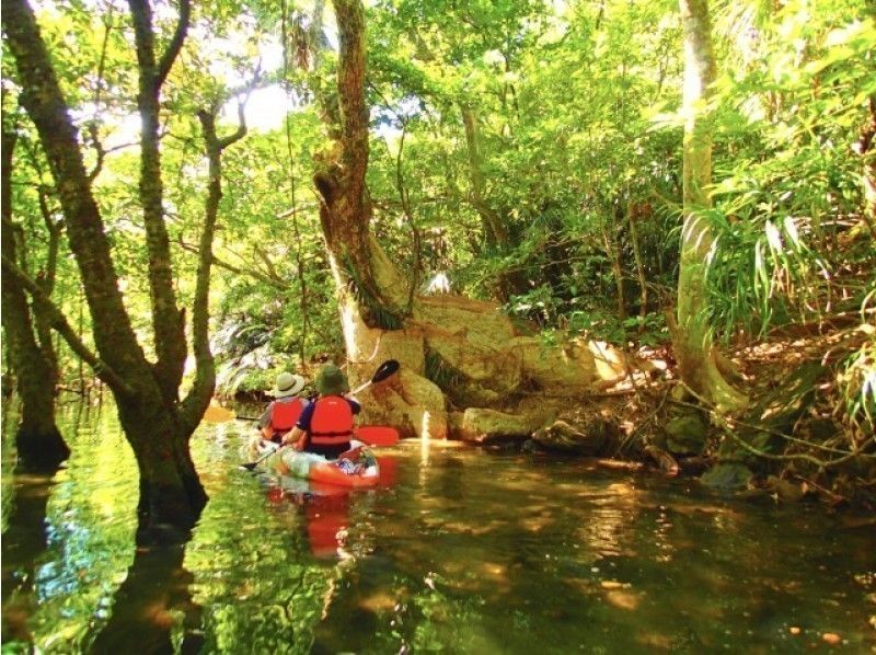 [Iriomote Island] a34. Mangrove Canoe x Trekking Unexplored Power Spot Tour & Yubu Island Sightseeing Course [Tour Photo Data Free]の紹介画像