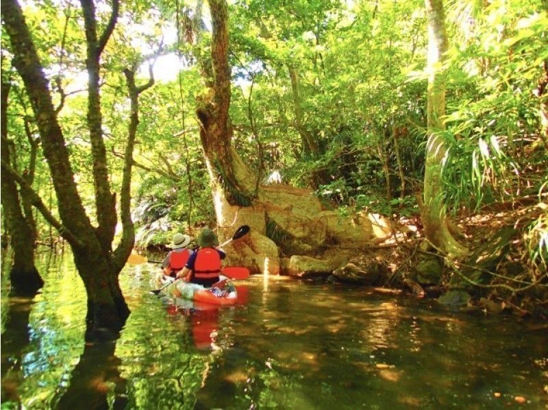 [石垣岛 ·从西表岛（Iriomote Island）]红树林独木舟丛林徒步探索未开发地区出发游览和御府岛观光课程の紹介画像