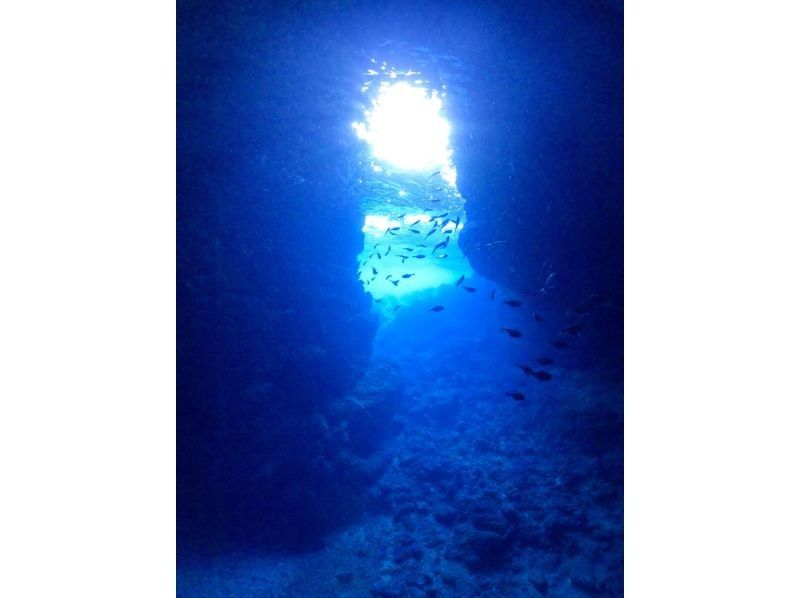 Same-day reservations welcome ☆ Private Blue Cave Experience Diving for 1 group [Onna Village, Okinawa Prefecture] Come empty-handed ☆ Free GoPro photo and feeding!の紹介画像