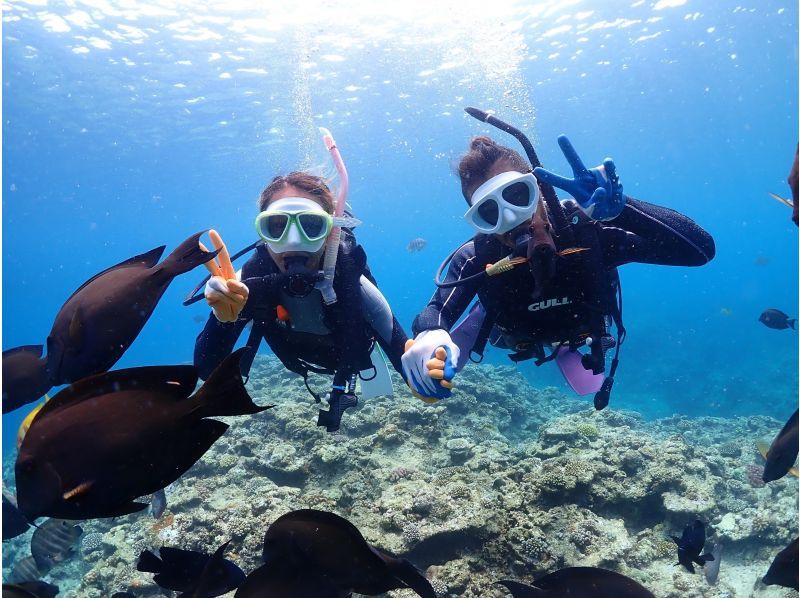 Same-day reservations welcome ☆ Private Blue Cave Experience Diving for 1 group [Onna Village, Okinawa Prefecture] Come empty-handed ☆ Free GoPro photo and feeding!の紹介画像