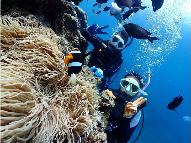 Same-day reservations welcome ☆ Private Blue Cave Experience Diving for 1 group [Onna Village, Okinawa Prefecture] Come empty-handed ☆ Free GoPro photo and feeding!の紹介画像