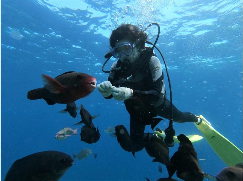 Two groups per day! ️ Minimum price frame available ☆ Same-day reservations welcome ☆ Private Blue Cave Diving Experience [Okinawa Prefecture, Onna Village] Empty-handed OK ☆ GoPro photo and feeding are free!の紹介画像