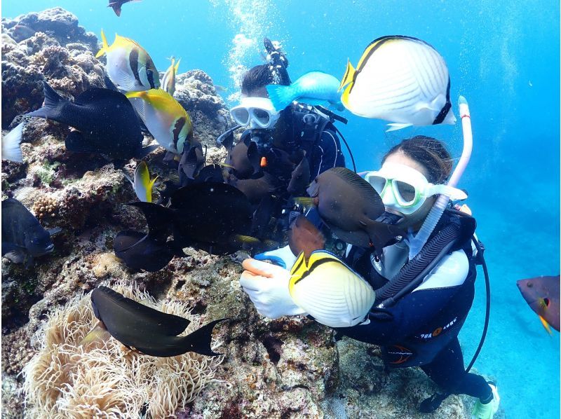 Two groups per day! ️ Minimum price frame available ☆ Same-day reservations welcome ☆ Private Blue Cave Diving Experience [Okinawa Prefecture, Onna Village] Empty-handed OK ☆ GoPro photo and feeding are free!の紹介画像