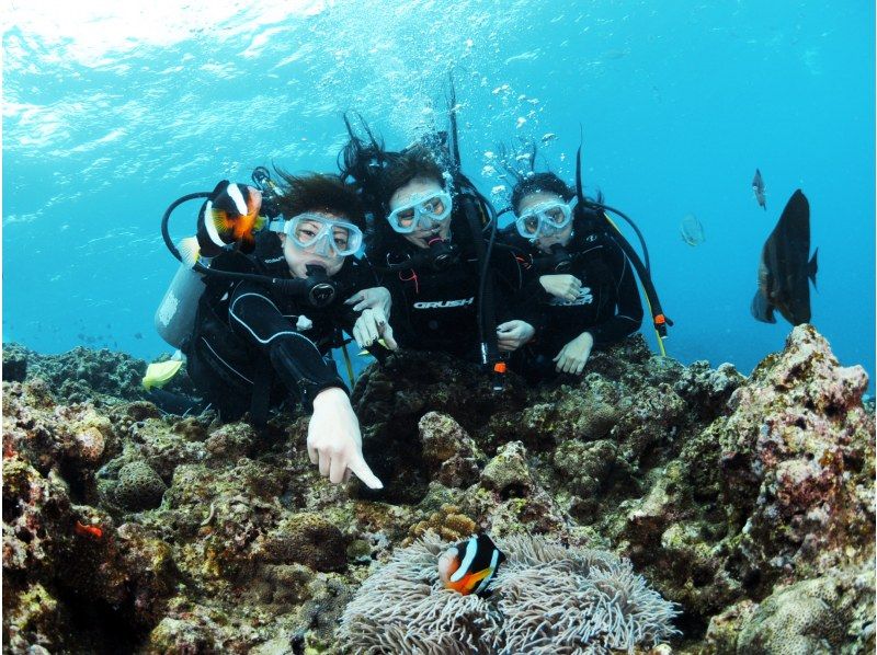 แพ็คเกจประสบการณ์ดำน้ำชมปะการังบนเรือ Onna Village West Coast และเรือ Okinawa Blue Caveの紹介画像