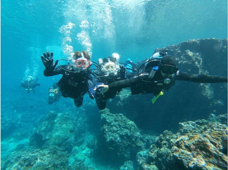 แพ็คเกจประสบการณ์ดำน้ำชมปะการังบนเรือ Onna Village West Coast และเรือ Okinawa Blue Caveの紹介画像