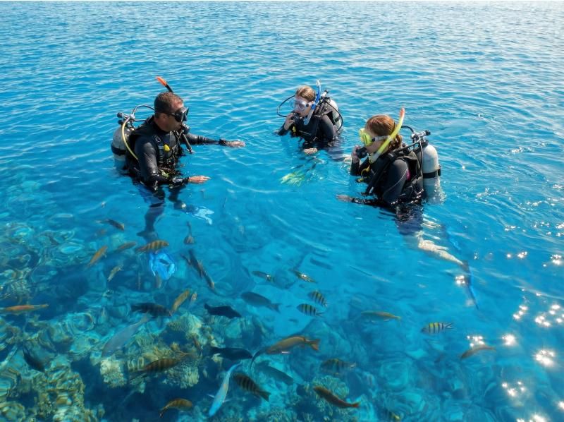 【沖縄県恩納村】パラセーリング＆青の洞窟へ行く体験ダイビングボートコースセット！Gopro無料レンタル付＆豪華8大特典付プランの紹介画像