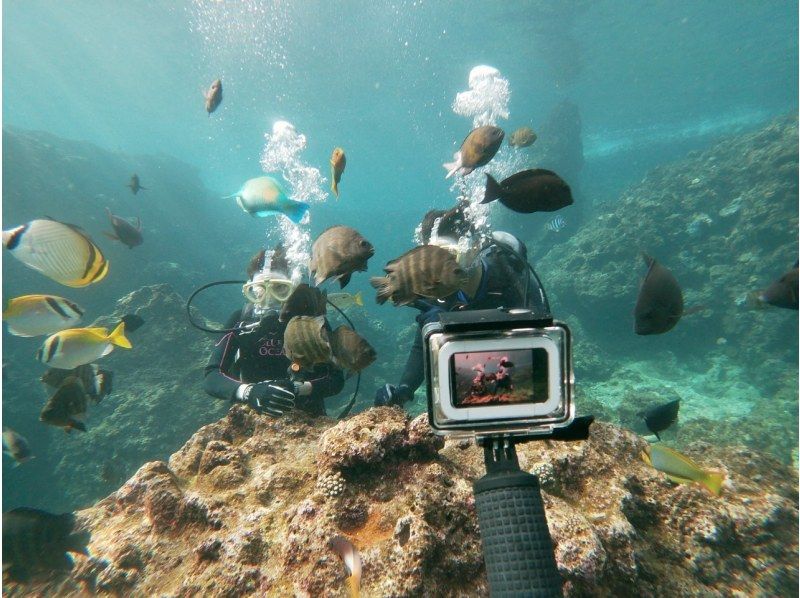 แพ็คเกจประสบการณ์ดำน้ำชมปะการังบนเรือ Onna Village West Coast และเรือ Okinawa Blue Caveの紹介画像