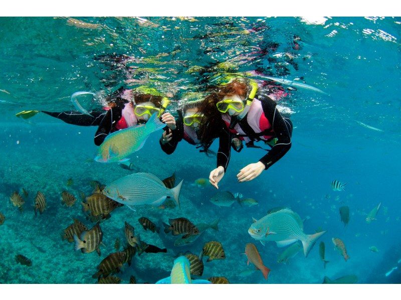 [โอกินาว่าถ้ำสีฟ้า】แนะนำสำหรับการเดินทางแบบครอบครัว! สนอร์เกิลถ้ำสีฟ้าและหมู่บ้านทะเลออนน่าの紹介画像