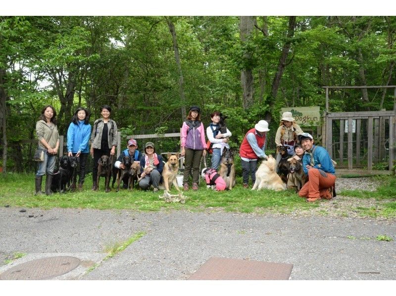 [Special plan] Find treasures in the spring mountain with your dog! Deer horn collection walk tour U ^ ^ ^ Uの紹介画像