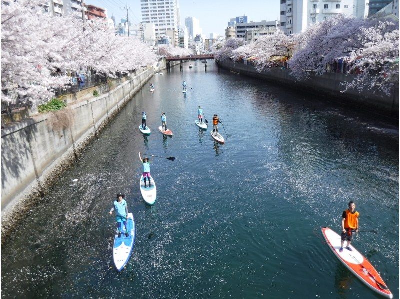 【横浜】桜お花見SUPツアーの紹介画像