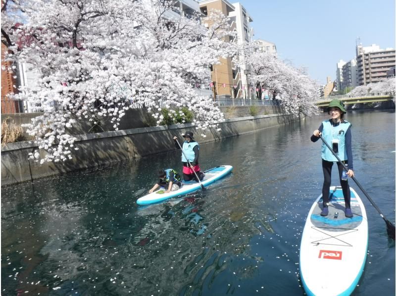 【横浜】桜お花見SUPツアーの紹介画像