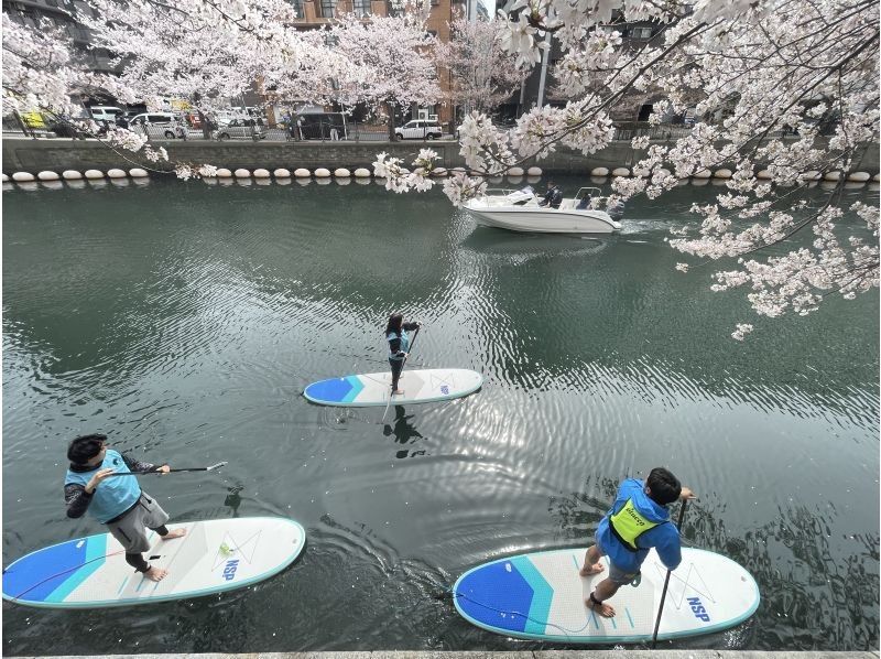 【横浜】桜お花見SUPツアーの紹介画像