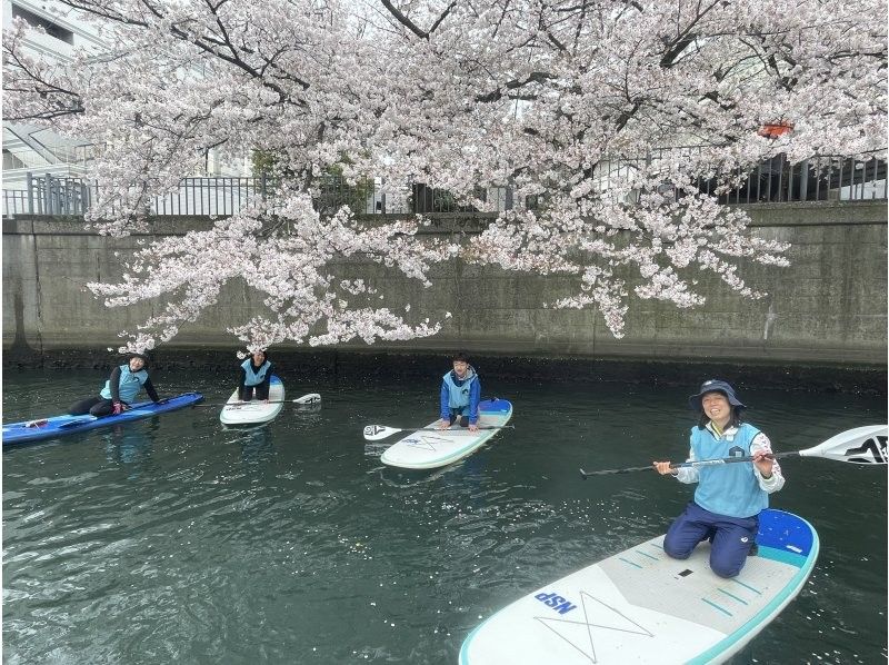 [ Yokohama 】 Cherry Ohanami SUP tourの紹介画像