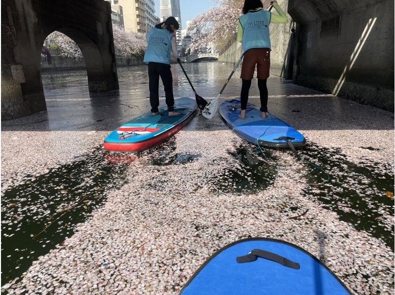 [ Yokohama 】 Cherry Ohanami SUP tourの紹介画像