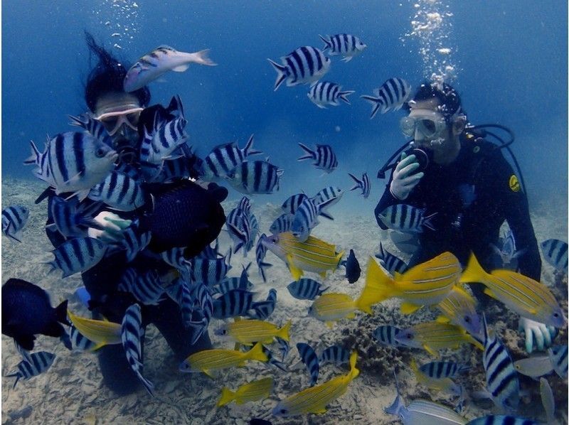 【沖縄・青の洞窟】人気の青の洞窟＋白い砂、サンゴの海。体験ダイビング２ダイブの紹介画像