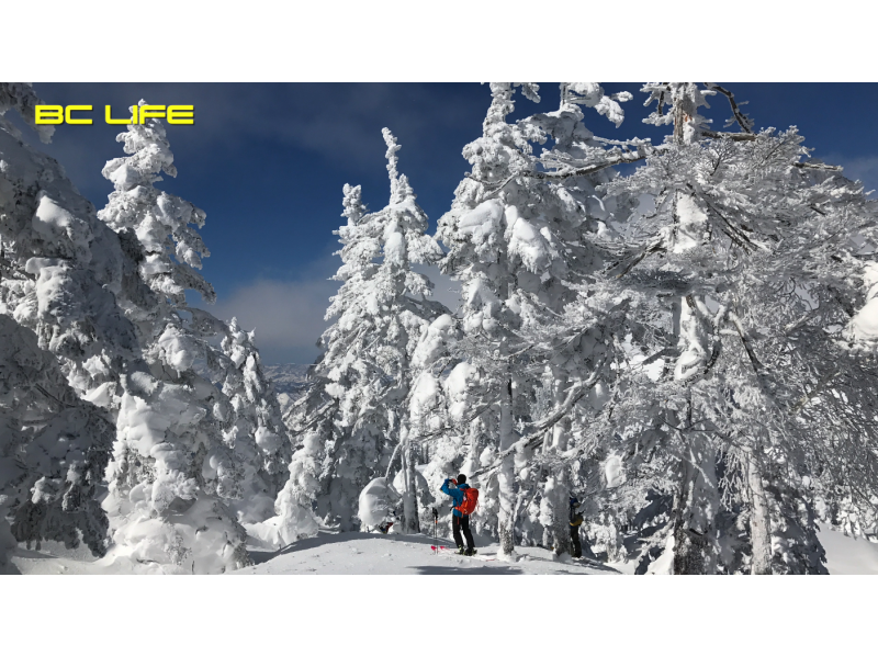 【아키타 · 다이센시] 궁극의 '오지스포츠 스키 & 드론 촬영 투어 "일본 유수의 파우더 스키를 만끽!の紹介画像