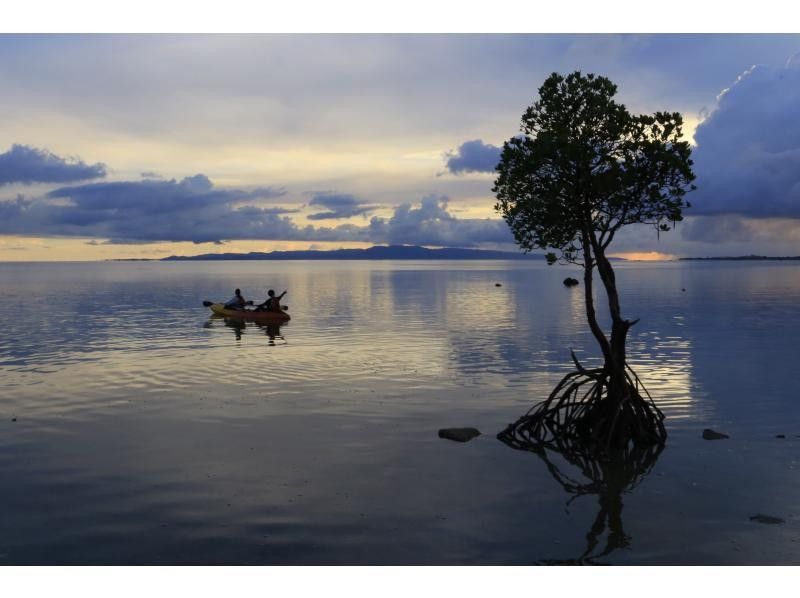 [Okinawa Prefecture, Ishigaki Island] Sunset night kayaking, one mangrove, and stargazing (with SLR photography)の紹介画像