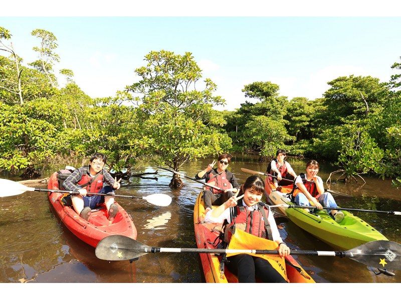 [Okinawa Prefecture, Ishigaki Island] Sunset Night Kayaking & Stargazing Tour の紹介画像