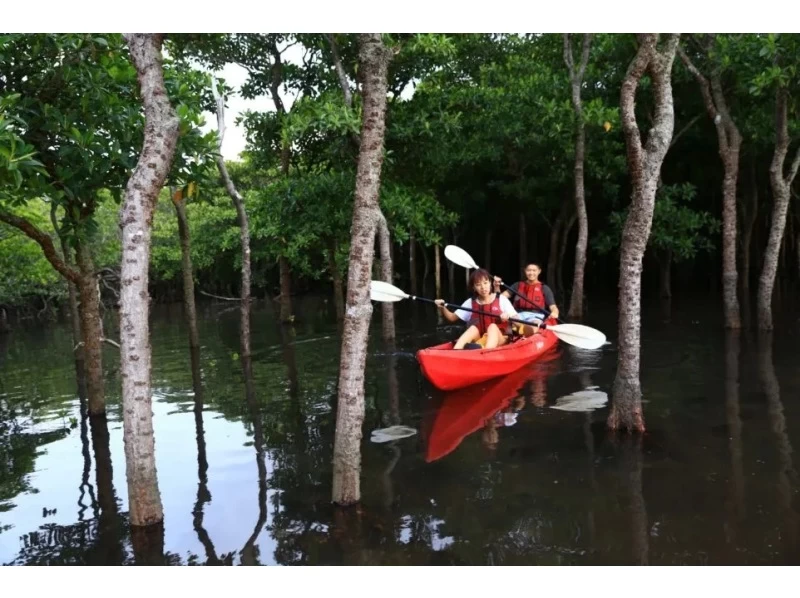 [Okinawa Prefecture, Ishigaki Island] Sunset Night Kayaking & Stargazing Tour の紹介画像