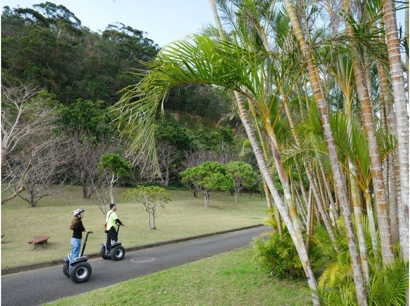[ 鹿児島 ·奄美]我可以滿足一流的觀點！ 賽格威紅樹林徒步旅行の紹介画像