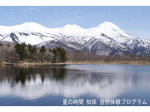 北海道 知床 世界自然遺産コアゾーン知床五湖を全周３時間 ガイド付き朝のトレッキング １０名様迄 アクティビティジャパン