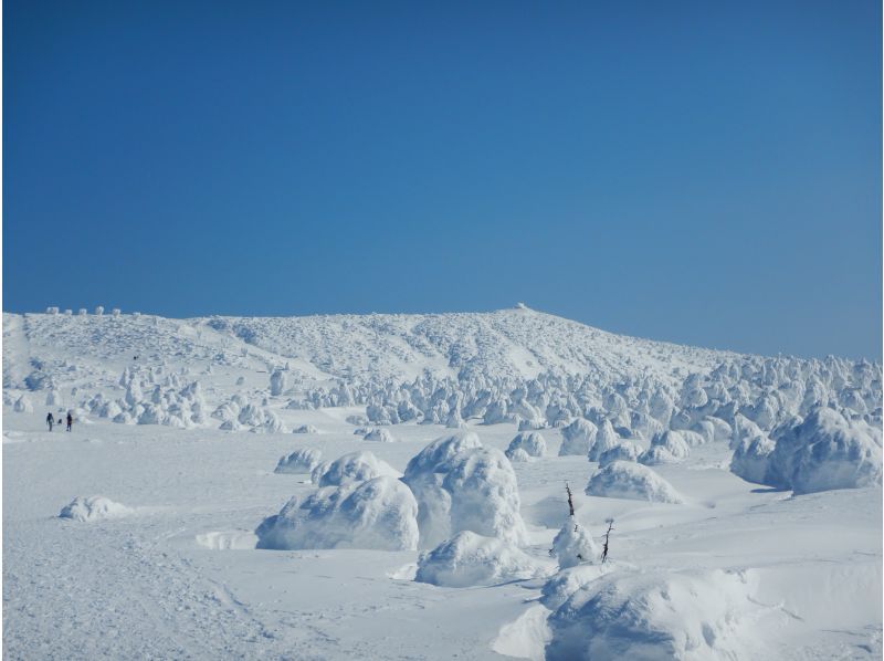 【山形　蔵王】樹氷を巡るスノーシューツアー　無料送迎可の紹介画像