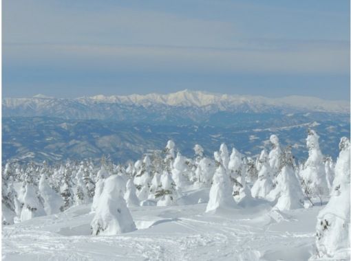 樹氷（連絡用） 消えゆく樹氷（モンスター）＜2025年3月15日放送＞ - YBC 山形放送