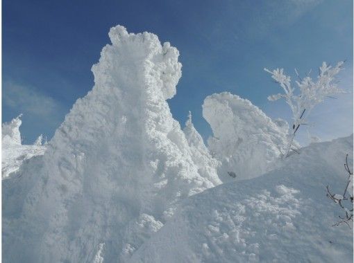 樹氷（連絡用） 蔵王の樹氷・霧氷原で山岳ガイドとかんじきスノートレッキング体験