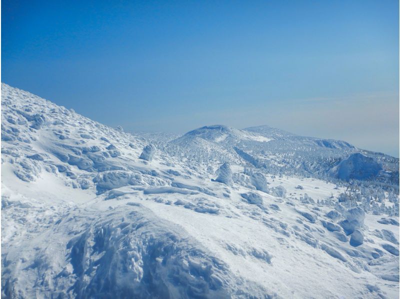 【山形　蔵王】樹氷を巡るスノーシューツアー　無料送迎可の紹介画像