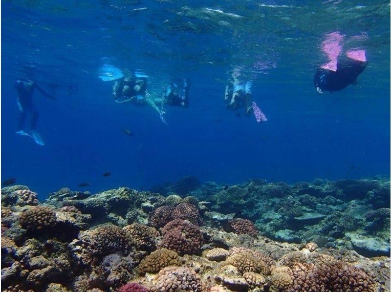 [จากนาฮะ] หมู่เกาะเครามะ ดำน้ำตื้น + กีฬาทางทะเล 1 รายการแผน (พร้อมประสบการณ์สัมผัสปลา) [3 ชั่วโมง]の紹介画像