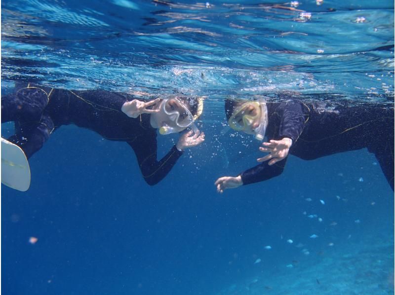 [โอกินาว่า-มิยาโกจิม่า] Yaesu Yoseการดำน้ำตื้น(Snorkeling)の紹介画像