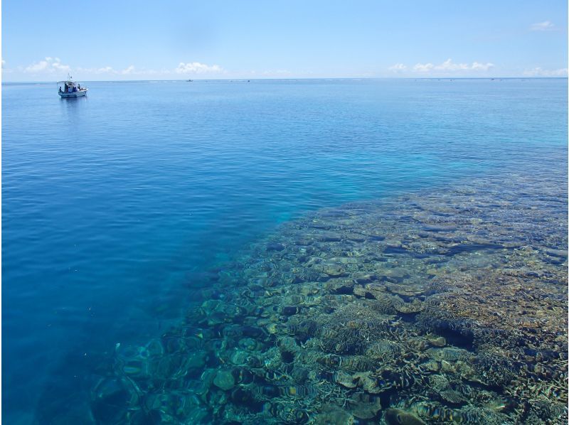 [Okinawa ・ Miyakojima] Yaesu Yose Snorkelingの紹介画像