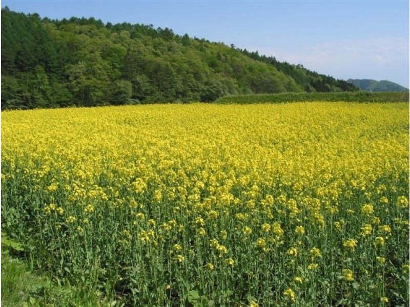 长野 大町市 在出生水的信浓大町徒步旅行胸罩 骑自行车胸罩 乘坐bravoyager独木舟参观电影地点 Activityjapan