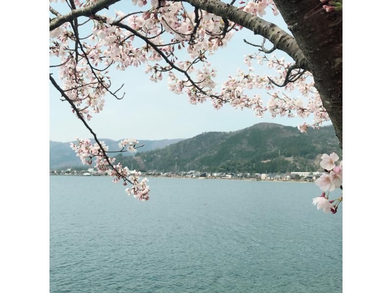 【滋賀・海津大崎サップ】湖上から眺める桜お花見SUPツアー（180分）写真データプレゼント！※期間限定開催※の紹介画像