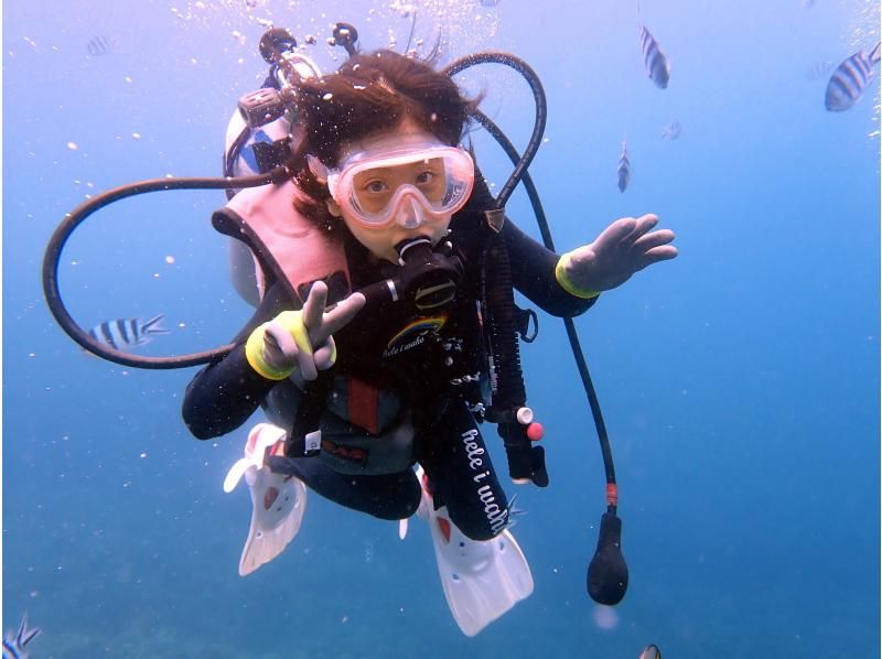 SALE！【沖縄ビーチダイビング】8歳から参加可！初めてのダイビングにオススメ 1組完全貸切 写真撮影付 エサやり無料！の紹介画像