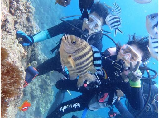 Okinawa Beach Diving Participation Is Possible From 8 Years Old Recommended For The First Dive 1 Set Completely Reserved Photographed Free Feeding Bath Towel Sandals Free Rental Activityjapan