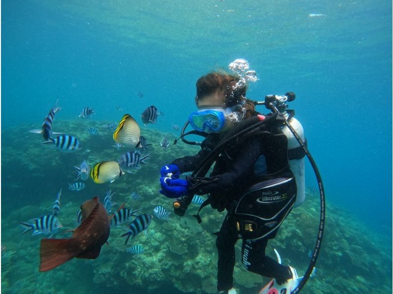 [Okinawa Beach Diving] Participants from age 8! Recommended for first-time diving. 1 group fully reserved. Photo shoot included. Free feeding! Optional GoPro video available.の紹介画像