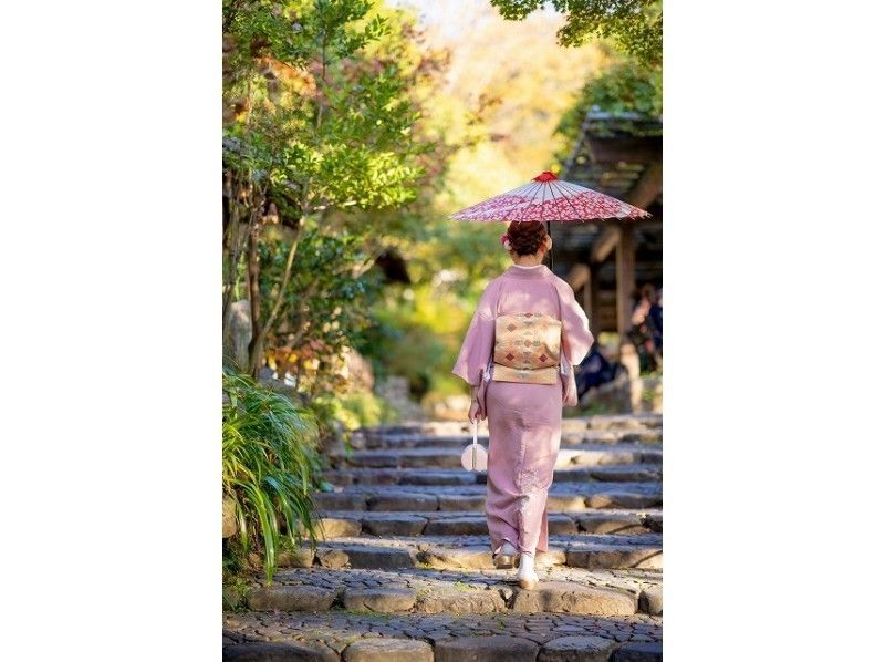 [京都清水寺]特卖！让我们在京都进行一次全面的散步吧！の紹介画像