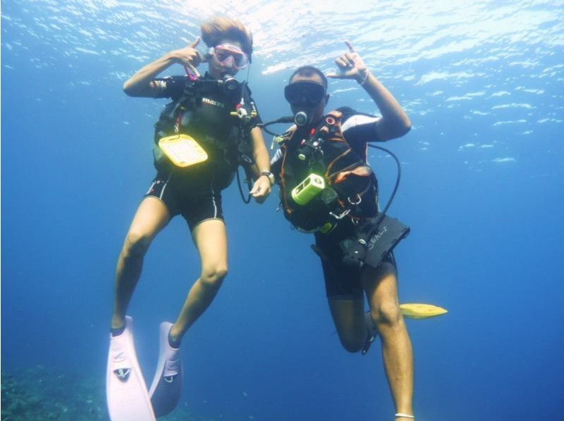 【License Class】 Dive Master PRO Courseの紹介画像