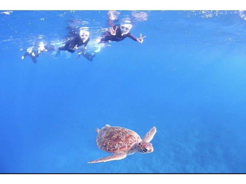 ★Super Summer Sale 2024★ [Swim with sea turtles] 95% chance of encountering them! Landing on a deserted island and amazing sea turtle snorkeling [half day] Photo giftの紹介画像