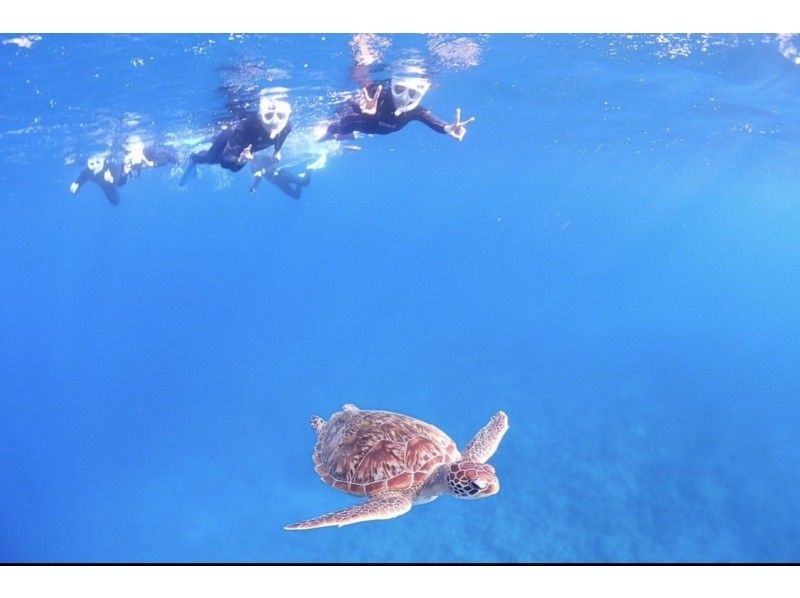 [Swim with sea turtles] Encounter rate 95%! Landing on a deserted island and impressive manta ray or sea turtle snorkeling [half day] Photo giftの紹介画像