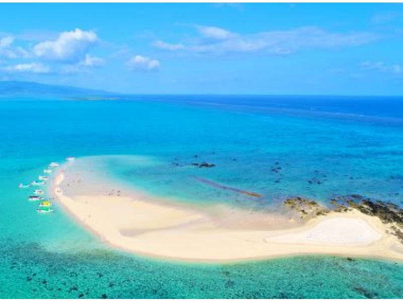 【ウミガメと泳ごう】遭遇率95%！無人島幻の島上陸＆感動のマンタ又はウミガメシュノーケリング【半日】写真プレゼントの紹介画像