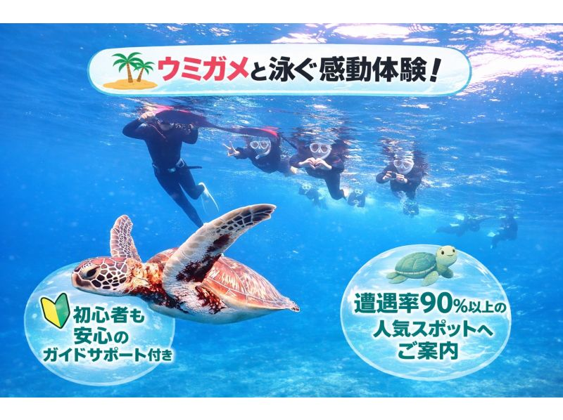 【初心者専門】ウミガメシュノーケリング&times;幻の島上陸｜マンタと会えるかも？！石垣島3時間の紹介画像
