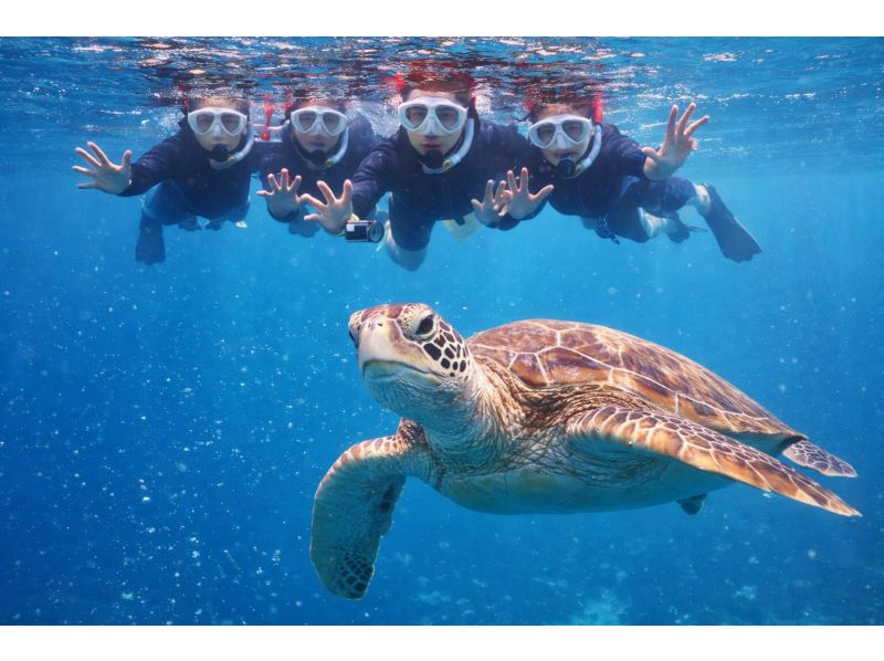 【初心者専門】ウミガメシュノーケリング&times;幻の島上陸｜マンタと会えるかも？！石垣島3時間の紹介画像