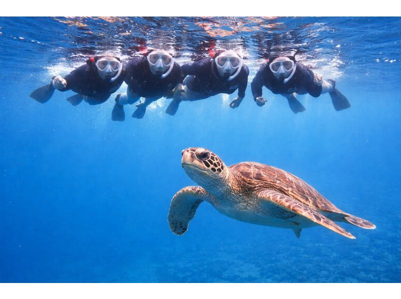 【初心者専門】ウミガメシュノーケリング&times;幻の島上陸｜マンタと会えるかも？！石垣島3時間の紹介画像