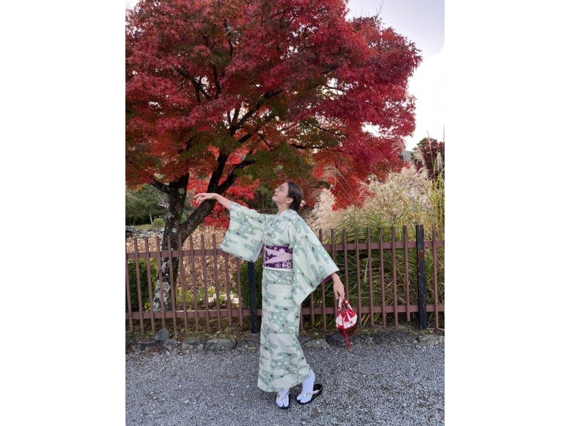 【京都・四条大宮】ここでしか体験できない♪ヘアーアクセサリーつけ放題‼着物レンタルお出かけコースの紹介画像