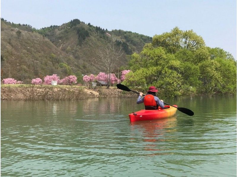 [Yamagata / Iide Town] Limited to 2021/4/29 (Thursday) -5/9 (Sunday)! Superb view canoeing experience in the submerged forest of Shirakawa dam lake & Yonezawa beef / local vegetables BBQ lunch tour