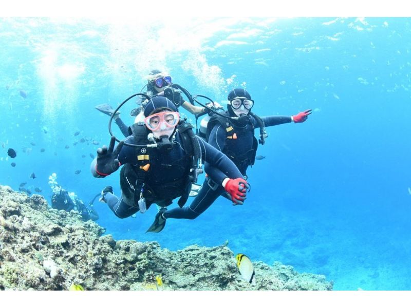 High chance of seeing them on a boat [Blue Cave Snorkeling & Trial Diving] No restrictions, free photo and video shooting | Feeding included | Free showers and parkingの紹介画像